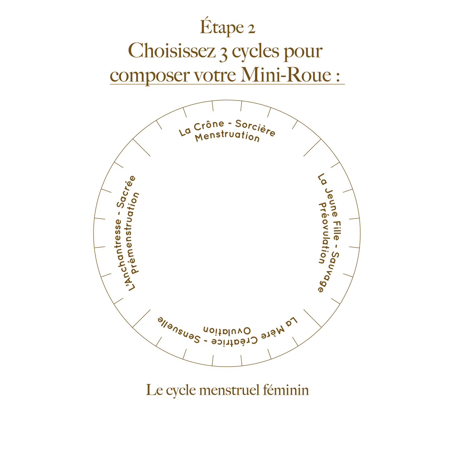 La Mini-Roue Personnalisable ✏️